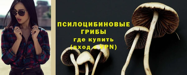 спиды Абдулино