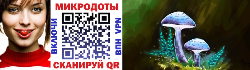 Галлюциногенные грибы Psilocybine cubensis  где найти   Шарья 